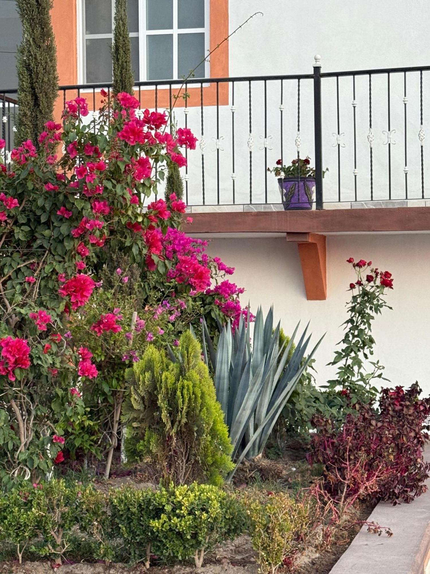 Hotel La C San Jose Iturbide Exterior foto